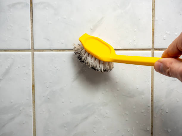 Best Mold Cleaning Services  in Canonsburg, PA
