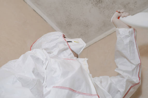 Certified Mold Removal in Canonsburg, PA